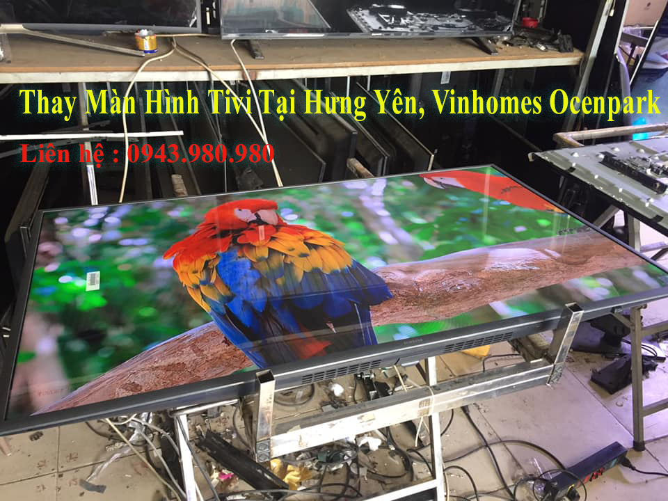 Thay Màn Hình Tivi Tại Hưng Yên, Vinhomes Ocenpark 